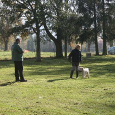 2008 10 18 Teamtest klein 0070