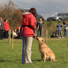 Gruppe3 21.09.2008 14 43 44